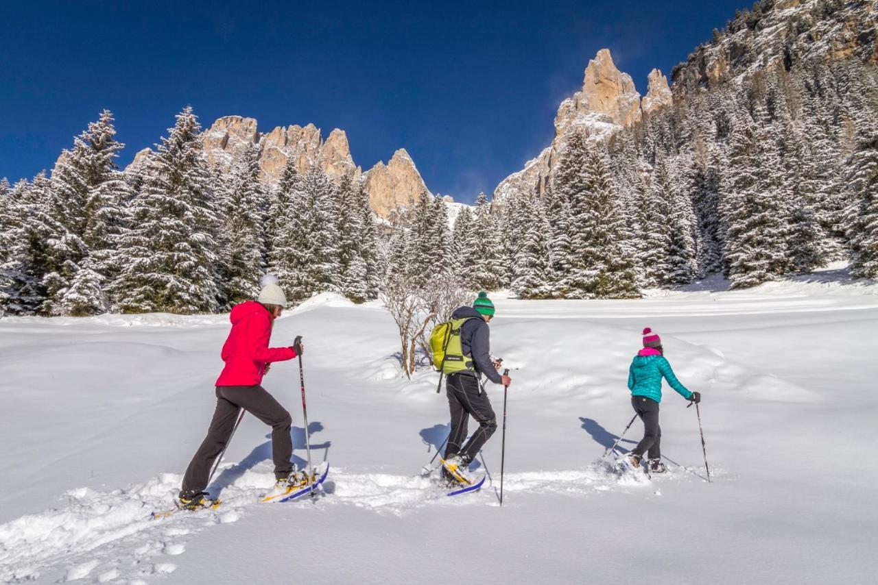 Hotel Ladinia Dolomites View Pozza di Fassa Exterior foto